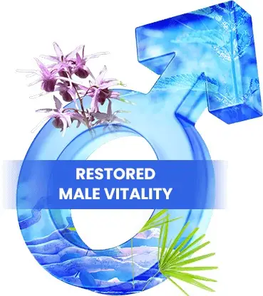 AlphaFuel Pro Natural Men's Vitality Supplement